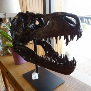 Tyrannosaurus Rex Head Bust Statue Denver Furniture Store