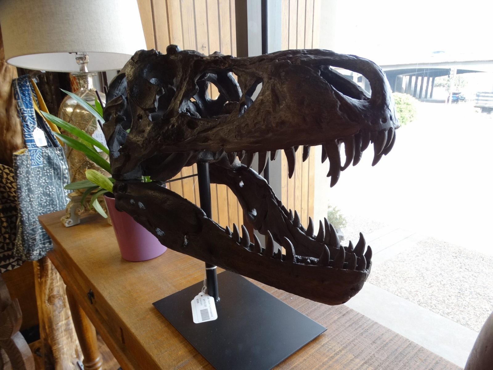 Tyrannosaurus Rex Head Bust Statue Denver Furniture Store