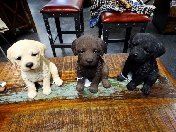 Puppy Labs Statues Denver Furniture Store