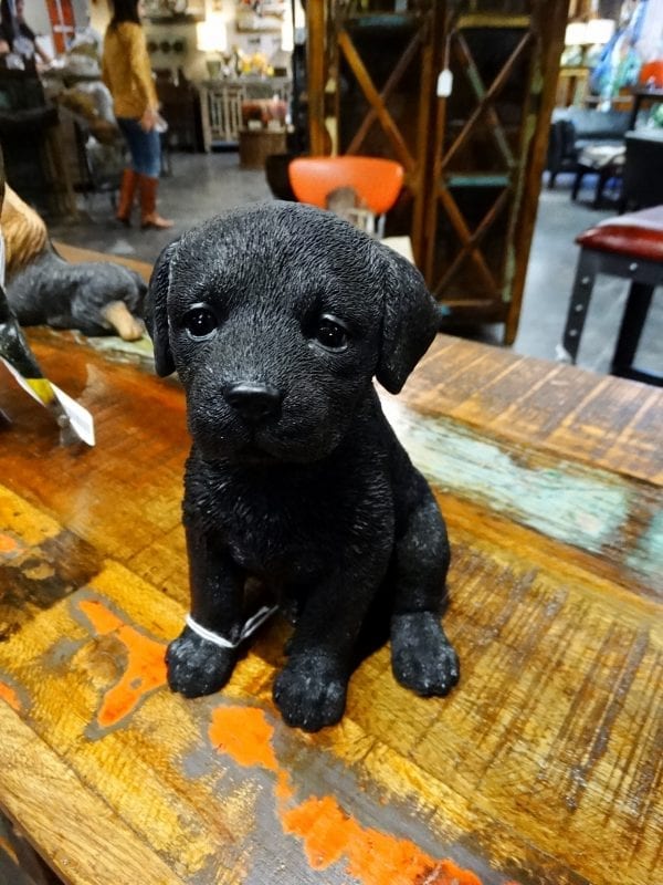 Black Lab Puppy Statue Denver Furniture Store
