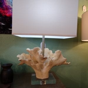 Lamp Sea Shell Table Lamp