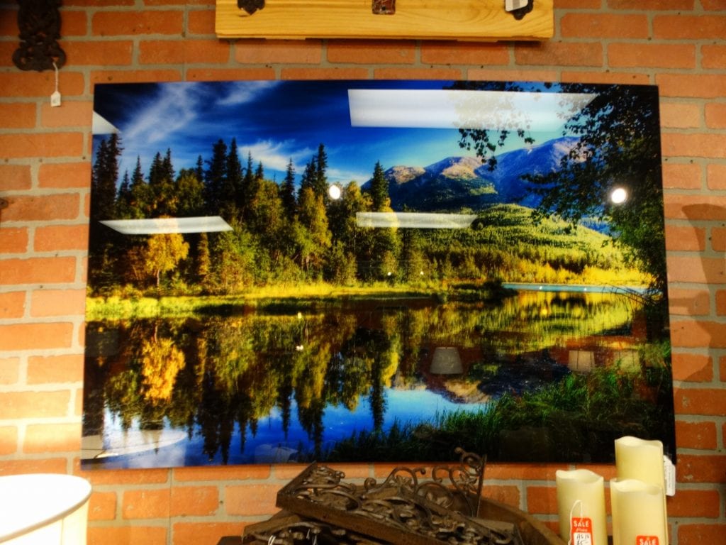 Photo Glass Wall Art of a beautiful forest lake scene.
