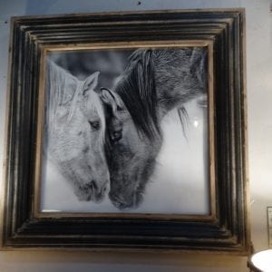 Horses Black and White Framed Photograph Wall Art