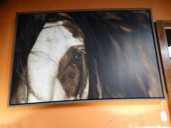 horse picture framed wall art