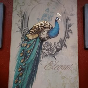 peacock poise i elegant wall art