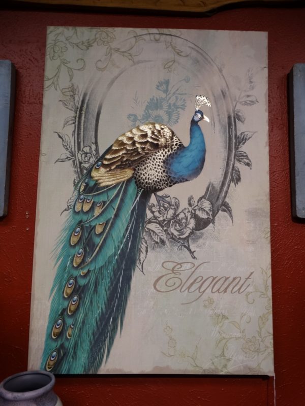 peacock poise i elegant wall art