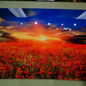 wall art glass behind photo red poppies field