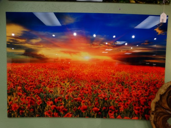 wall art glass behind photo red poppies field