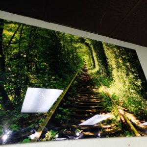 wall art glass behind photo tree train tunnel