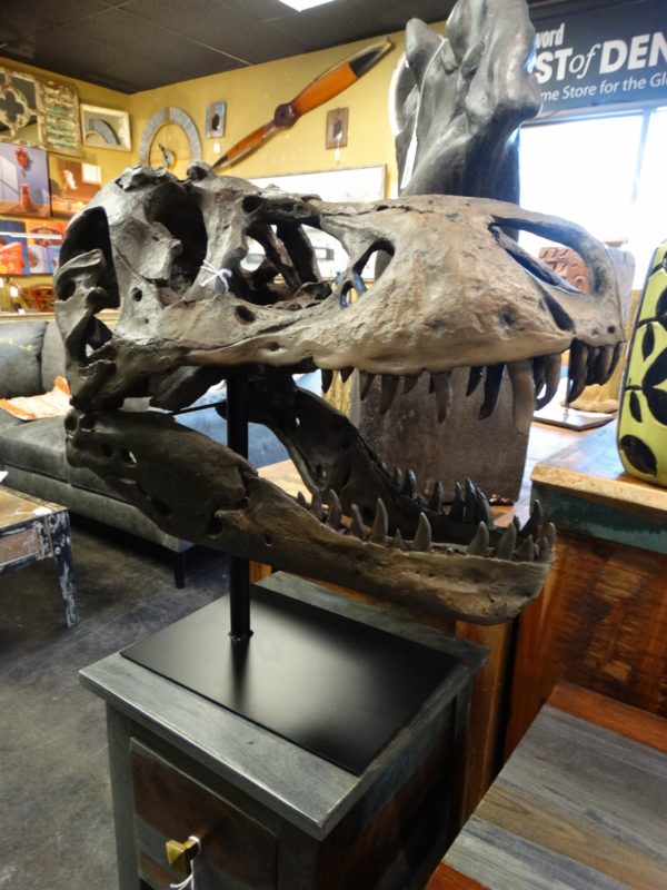 t rex dinosaur skull replica on stand statue