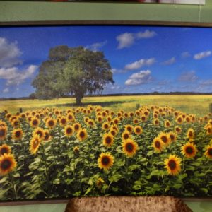 Wall Art Field of Sunflowers Wall Art Photo Behind Glass