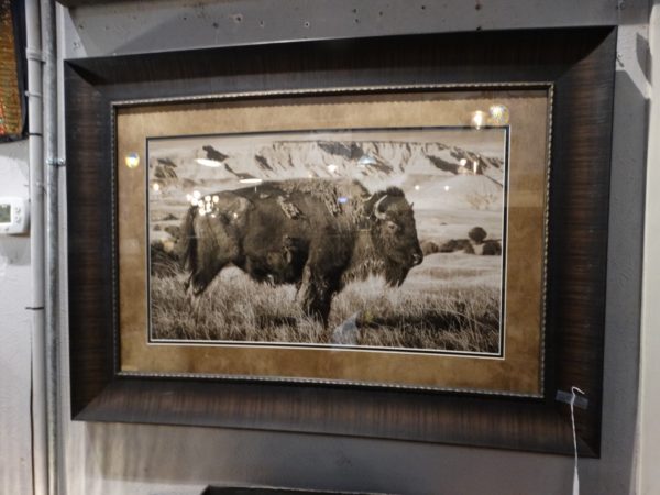 Wall Art Bison Buffalo Image In Frame