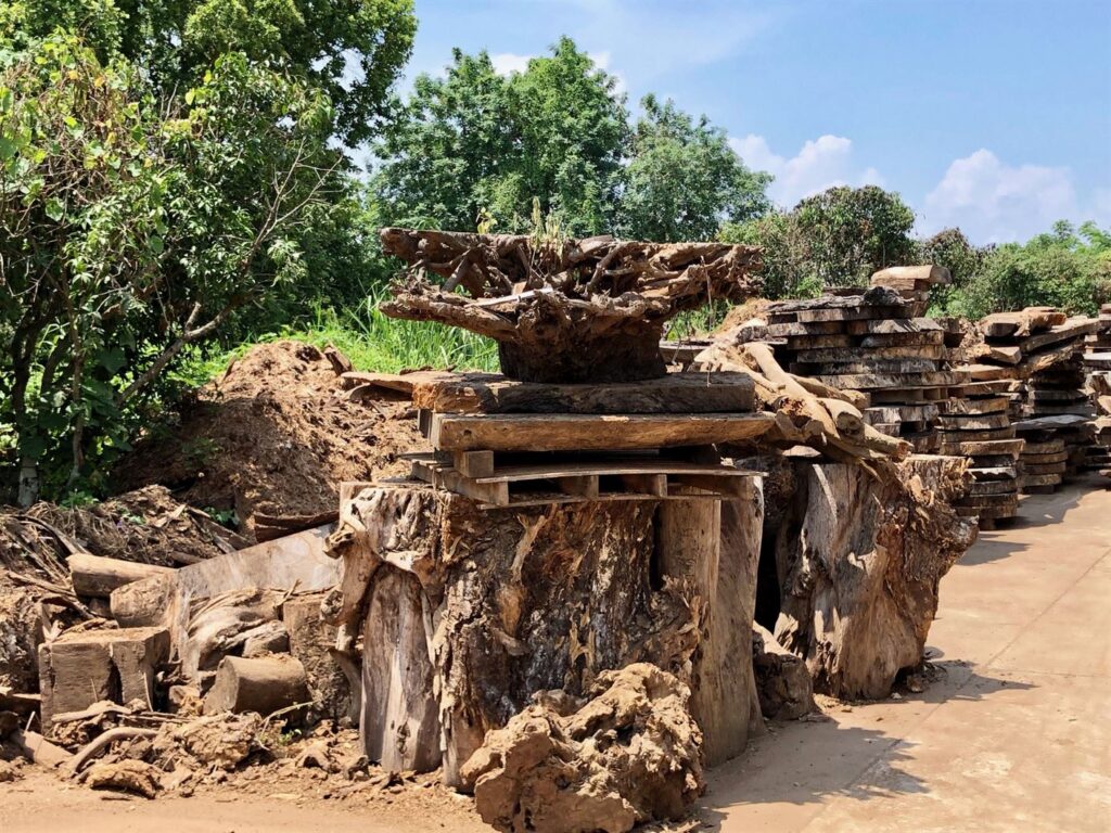 IMG_7580 - Rare Finds Warehouse