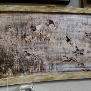 Art Mallard Ducks in the Reeds Wall Art