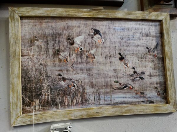 Art Mallard Ducks in the Reeds Wall Art