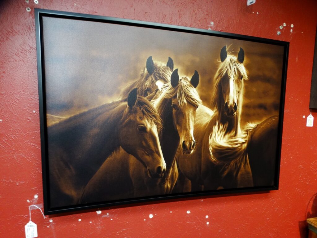 Wall Art Blonde Horses Bad Girls Wall Art Photo