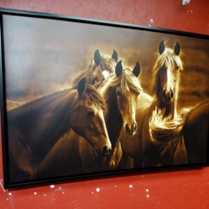 Wall Art Blonde Horses Bad Girls Wall Art Photo