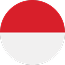 indonesia-flag 1 - Rare Finds Warehouse